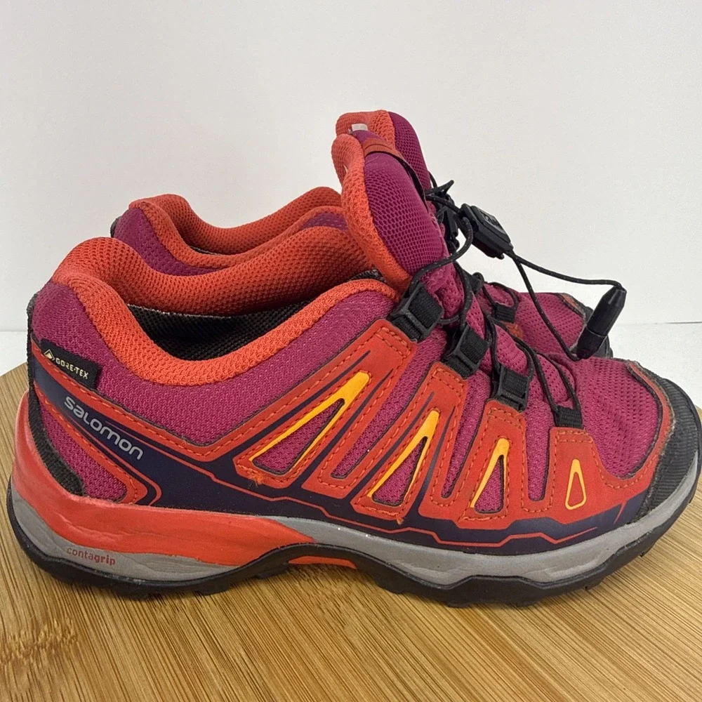 Salomon ultra gore